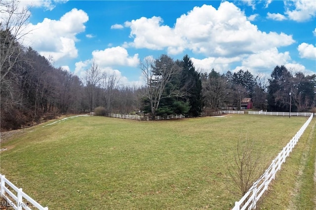 view of yard with a rural view