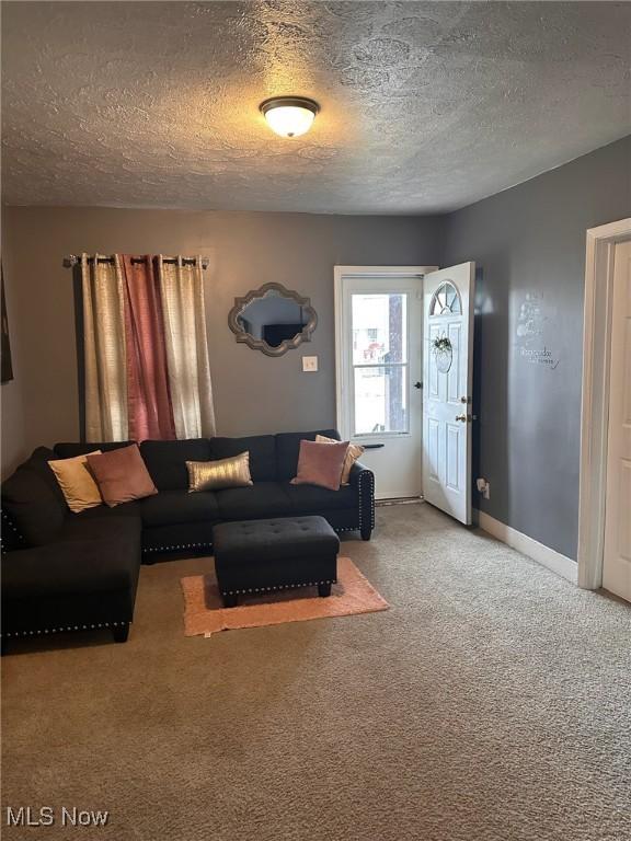 living room featuring a textured ceiling and carpet flooring