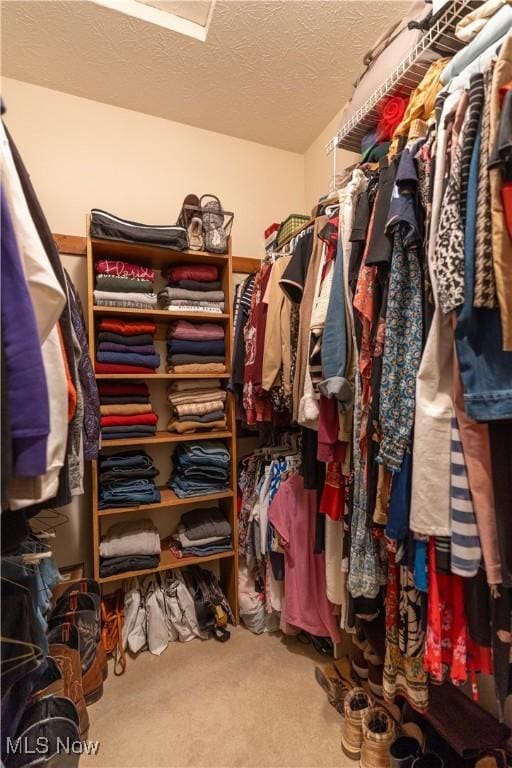 walk in closet with carpet