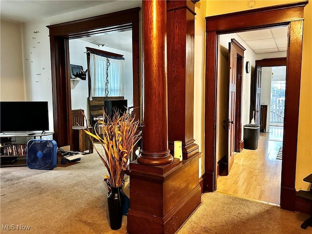 hallway featuring carpet floors and a drop ceiling