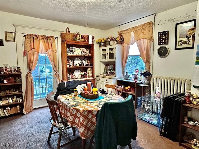 carpeted dining space featuring radiator heating unit and a textured ceiling