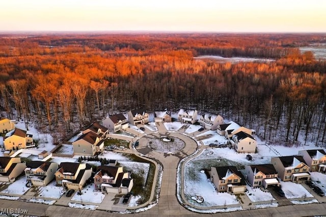 view of snowy aerial view