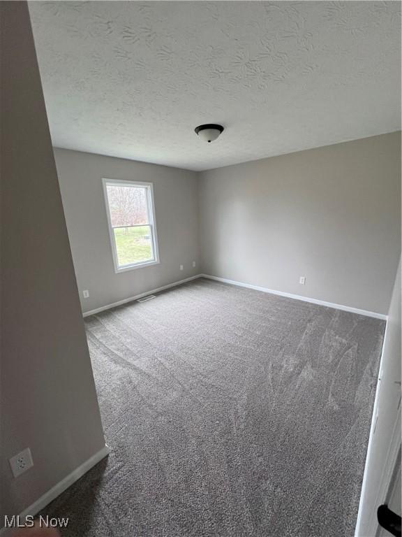 unfurnished room with carpet flooring and a textured ceiling