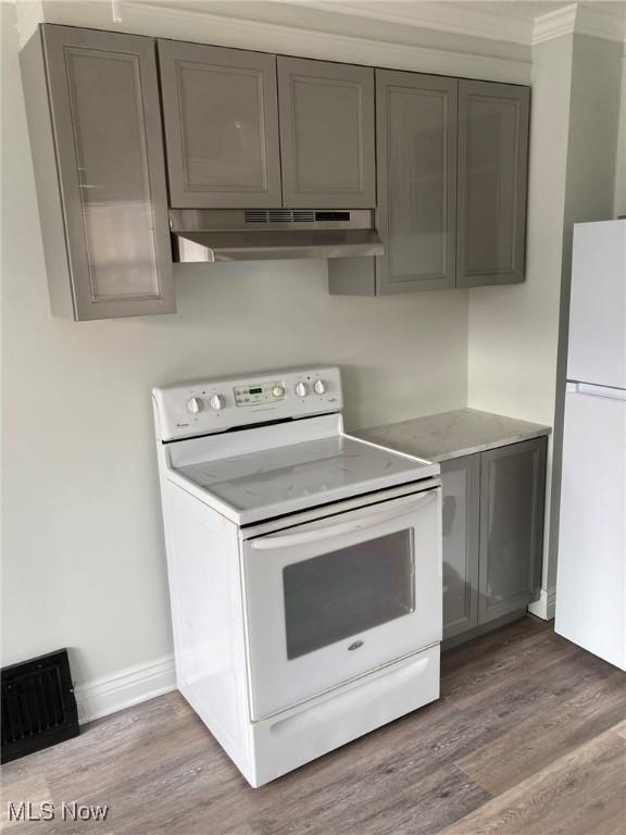 kitchen with gray cabinets, dark hardwood / wood-style floors, and white appliances