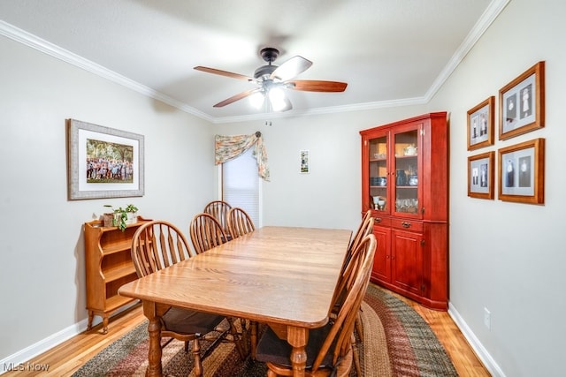 dining room with ornamental molding, ceiling fan, and light hardwood / wood-style floors