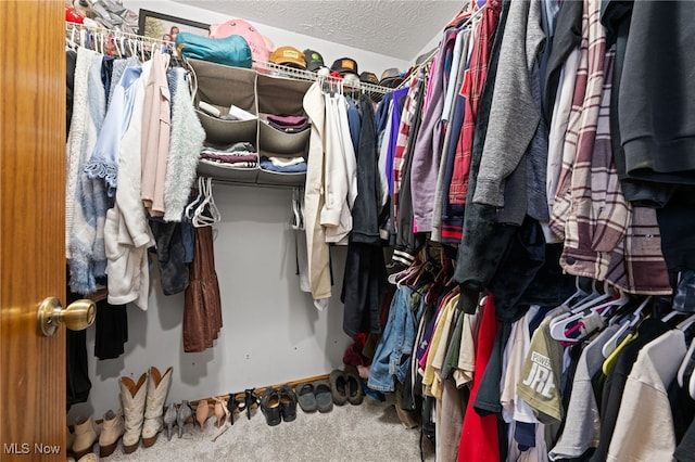 walk in closet with carpet floors