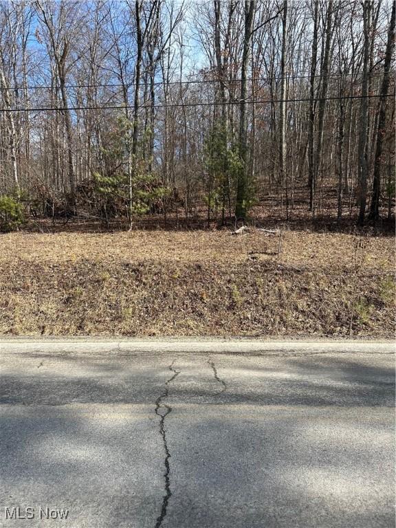 VL Birmingham, Lore City OH, 43755 land for sale