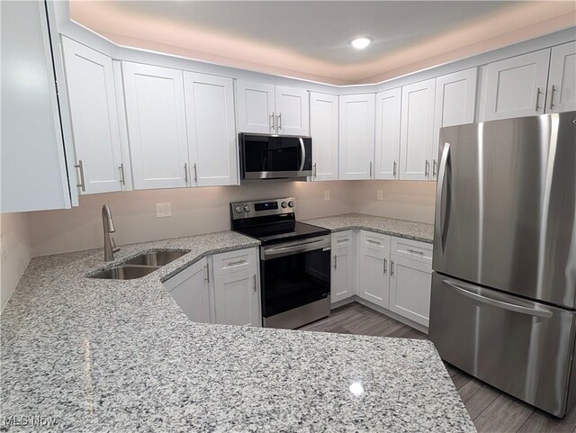 2707 S Harbor Bay Dr Unit 1332, Lakeside-Marblehead, OH 43440 - kitchen featuring sink, light stone counters, wood-type flooring, stainless steel appliances, and white cabinets