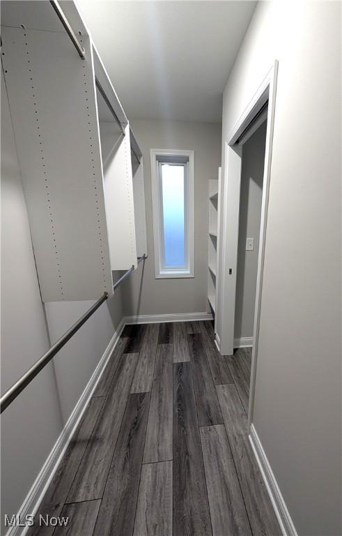 spacious closet featuring dark hardwood / wood-style floors