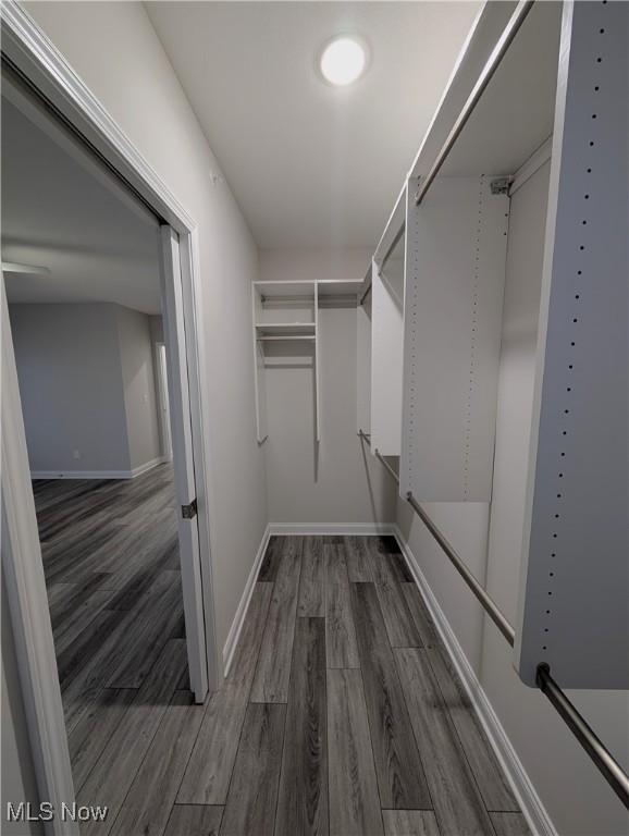 walk in closet with dark hardwood / wood-style floors