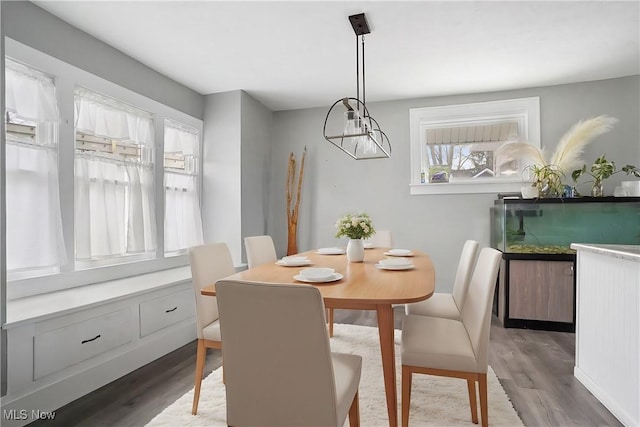 dining area with hardwood / wood-style flooring