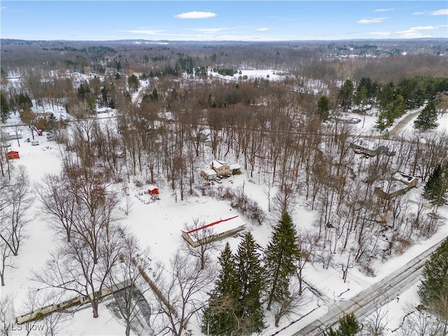 view of snowy aerial view