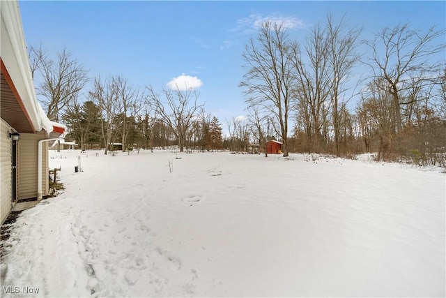 view of yard covered in snow