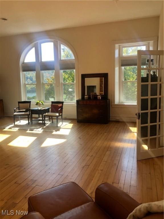 living room featuring a wealth of natural light and light wood-type flooring