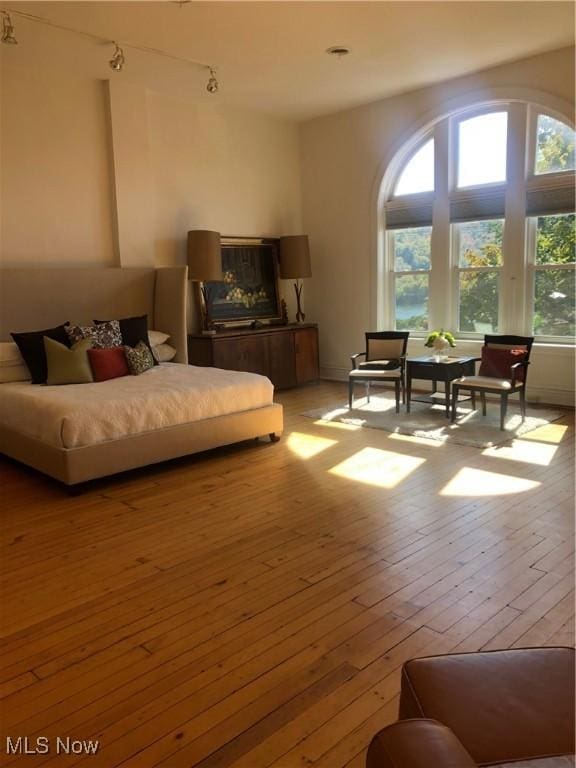 bedroom featuring light hardwood / wood-style flooring