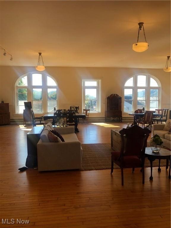 living room with a healthy amount of sunlight, dark hardwood / wood-style floors, and track lighting