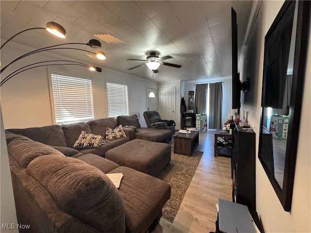 living room with ceiling fan and light hardwood / wood-style flooring