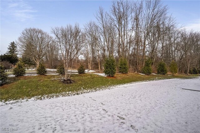 1529 Spruce Hill Dr, Stow, OH 44224 - photo 33