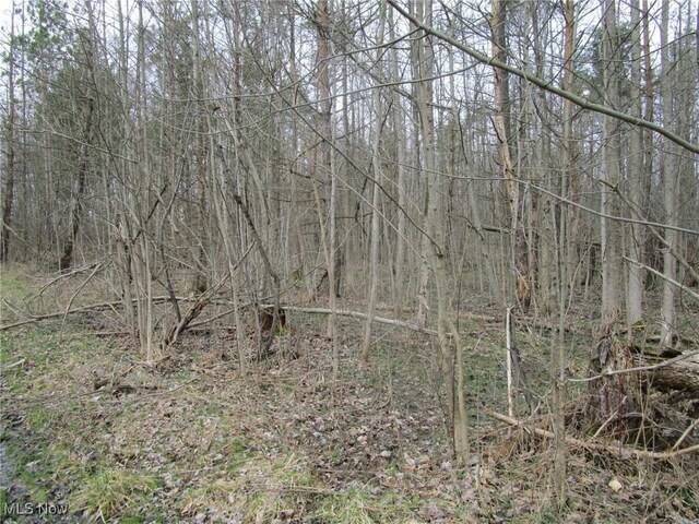 4381 Higley Rd, Rome, OH 44085 - photo 12