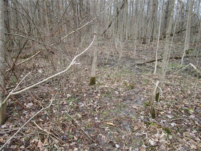 4381 Higley Rd, Rome, OH 44085 - photo 13