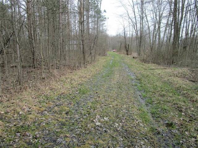 4381 Higley Rd, Rome, OH 44085 - photo 14