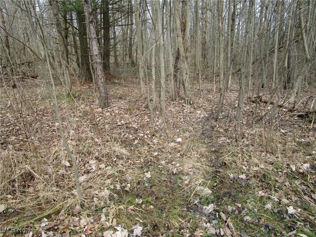 4381 Higley Rd, Rome, OH 44085 - photo 16