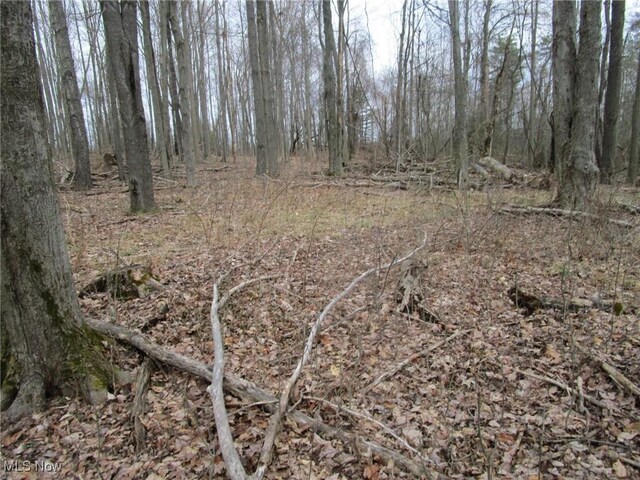 4381 Higley Rd, Rome, OH 44085 - photo 17