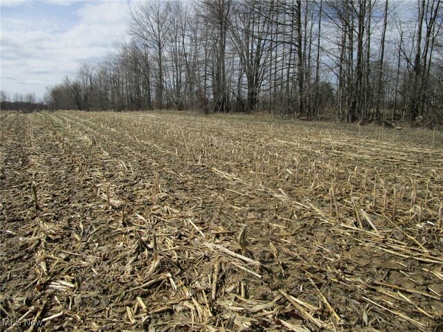 4381 Higley Rd, Rome, OH 44085 - photo 37