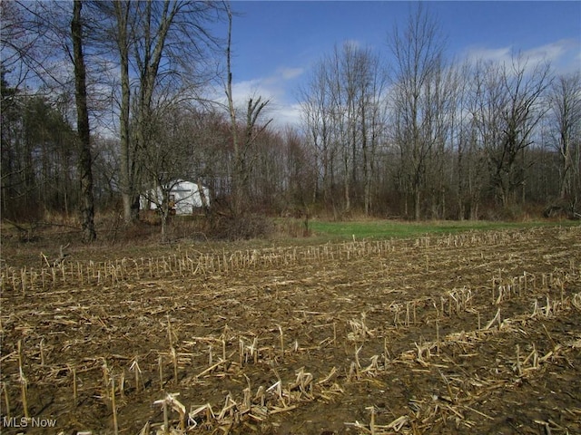 4381 Higley Rd, Rome, OH 44085 - photo 39
