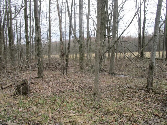 4381 Higley Rd, Rome, OH 44085 - photo 18