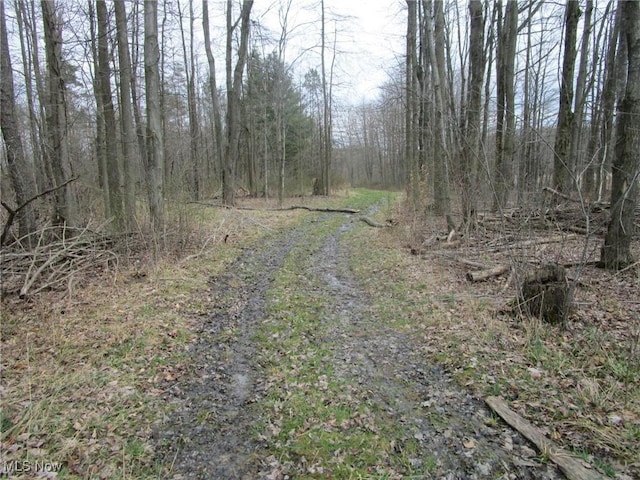4381 Higley Rd, Rome, OH 44085 - photo 19