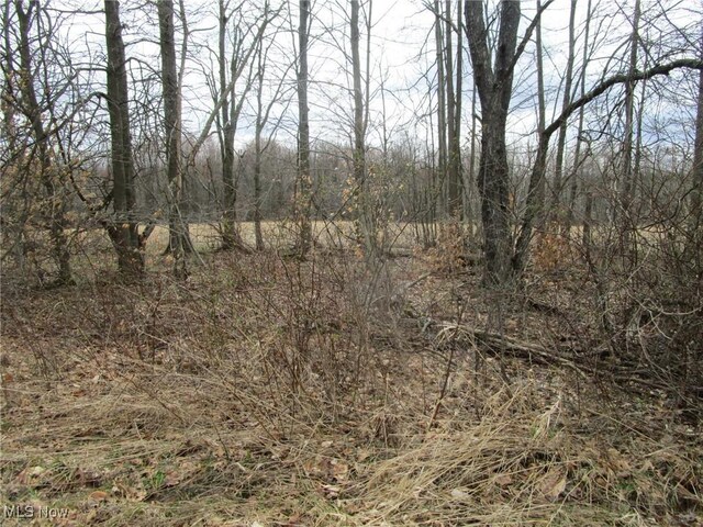 4381 Higley Rd, Rome, OH 44085 - photo 20