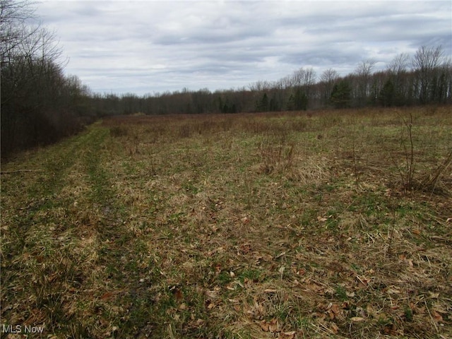 4381 Higley Rd, Rome, OH 44085 - photo 21
