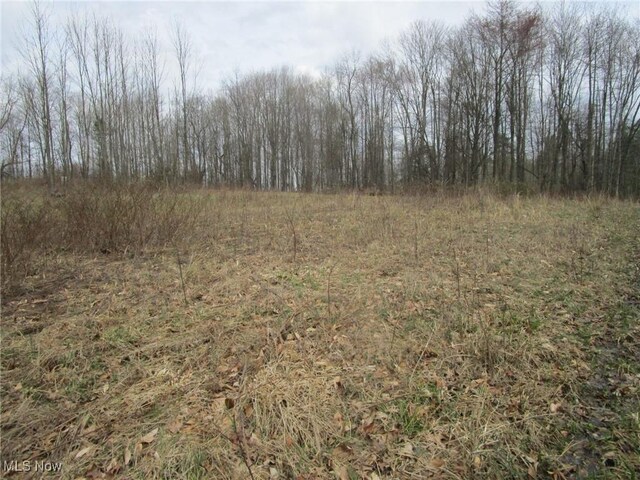 4381 Higley Rd, Rome, OH 44085 - photo 22