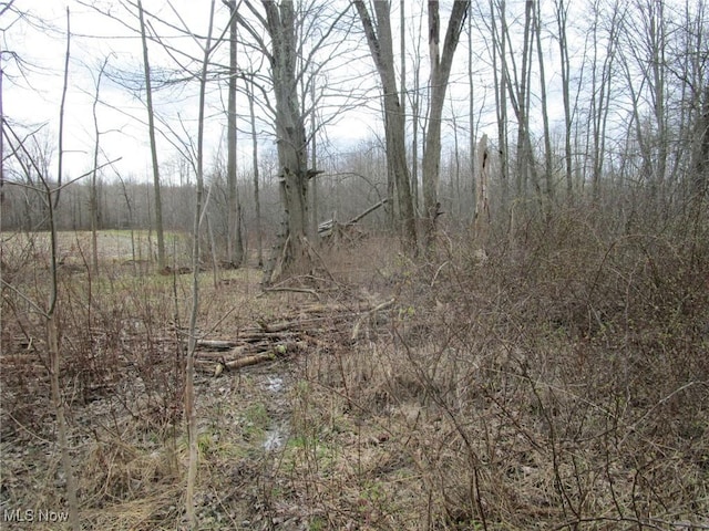 4381 Higley Rd, Rome, OH 44085 - photo 23