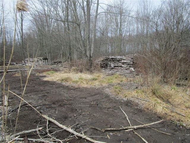4381 Higley Rd, Rome, OH 44085 - photo 25