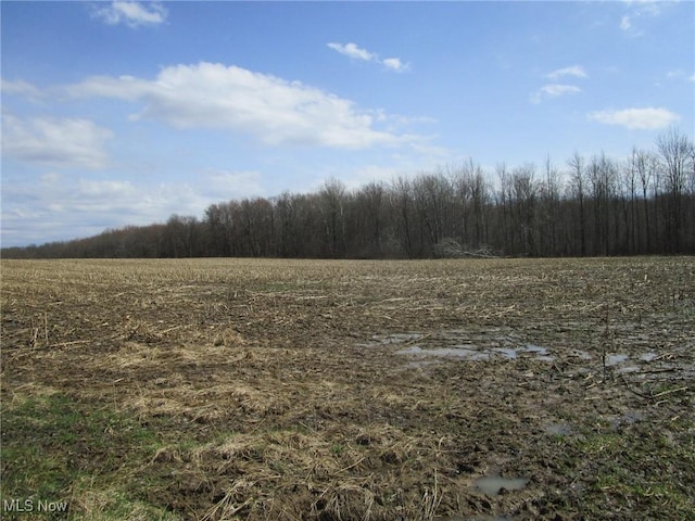 4381 Higley Rd, Rome, OH 44085 - photo 32