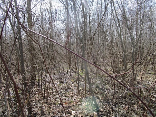 4381 Higley Rd, Rome, OH 44085 - photo 33