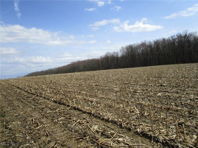 4381 Higley Rd, Rome, OH 44085 - photo 34