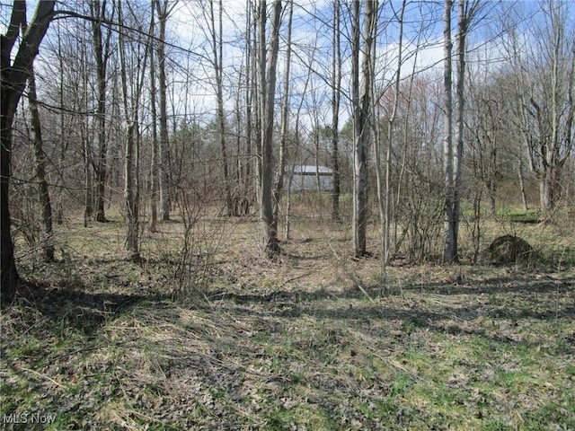 4381 Higley Rd, Rome, OH 44085 - photo 40
