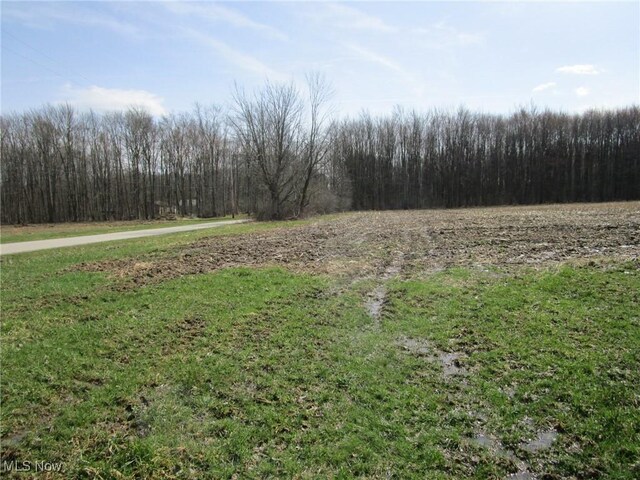 4381 Higley Rd, Rome, OH 44085 - photo 41