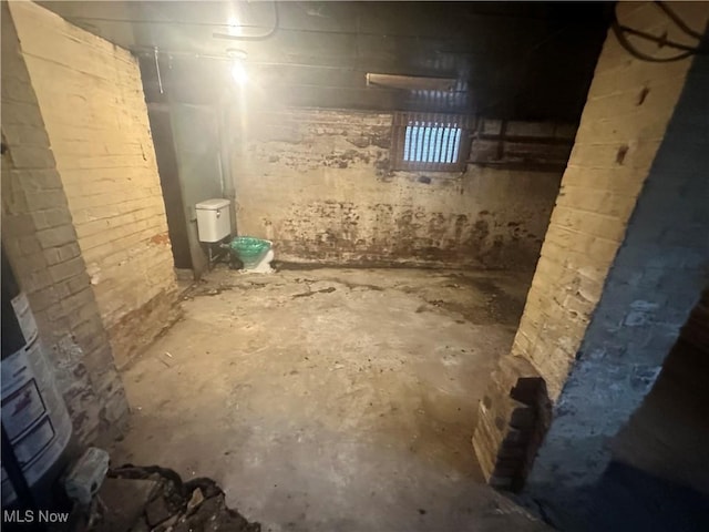 basement with brick wall