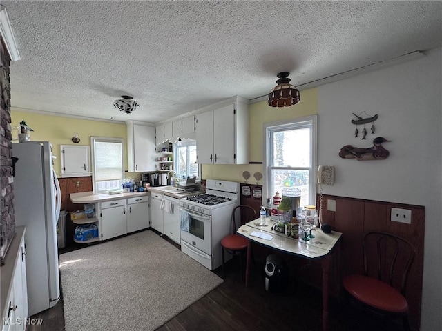 kitchen with dark hardwood / wood-style floors, sink, white cabinets, white appliances, and a textured ceiling