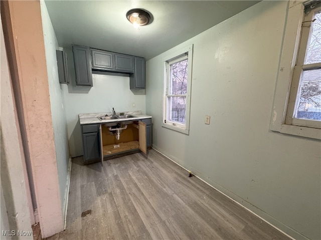 kitchen featuring sink, gray cabinetry, and light hardwood / wood-style flooring