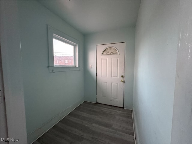 doorway with dark hardwood / wood-style flooring