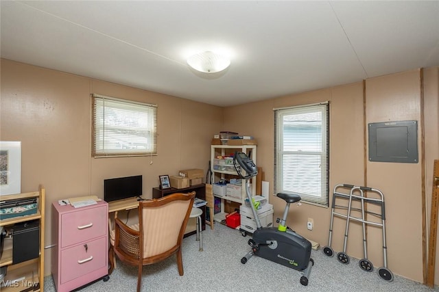 home office featuring electric panel, carpet, and a wealth of natural light