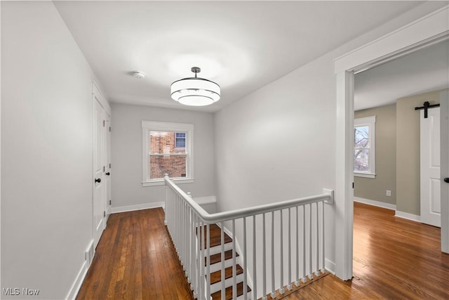 hallway with a barn door and hardwood / wood-style floors