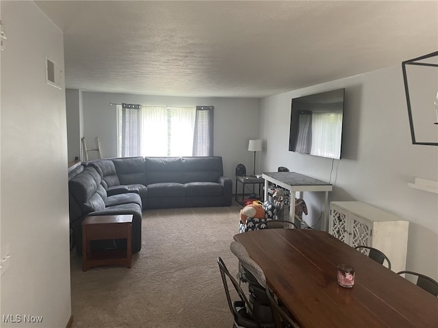 living room featuring carpet flooring and a textured ceiling