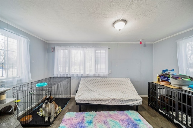 bedroom with dark wood-type flooring and multiple windows