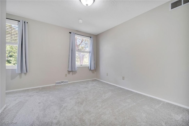 empty room featuring light carpet and a textured ceiling